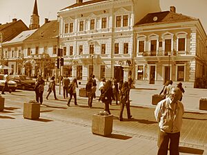 Zebra Crossing, Eroilor Avenue, Cluj Napoca, Romania