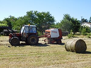 Zetor 7745 (3)