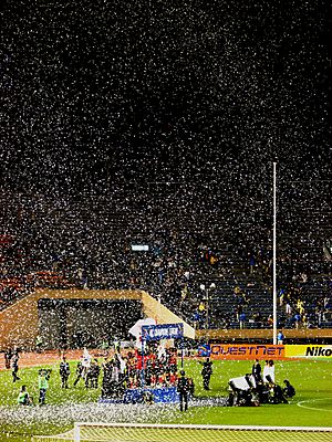 2009 AFC Champions League Final - Pohang Steelers celebrate