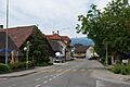 2012-05-26-Seeland (Foto Dietrich Michael Weidmann) 245