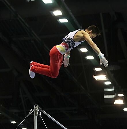 2019-06-30 1st FIG Artistic Gymnastics JWCH Men's Apparatus finals Horizontal bar (Martin Rulsch) 066