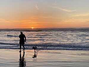 A woman and her dog at the edge of the Pacific Ocean