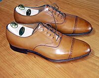 Acorn captoes side