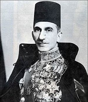 Ahmad Hasnein