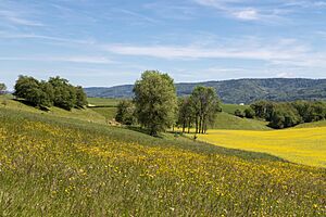 Ajoie-Landschaft zwischen Fahy und Grandfontaine