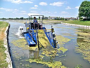 Algae Harvester