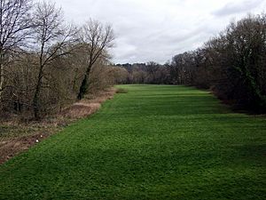 Angel Meadow - geograph.org.uk - 721892