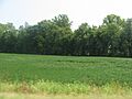 Ashworth Archaeological Site