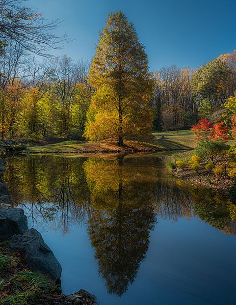 Autumn Reflection (49002318623)