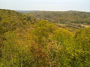 BBHTJerichoTrailCranesLookoutView3