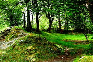 Ballyallaban ringfort Facts for Kids