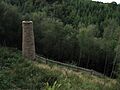 Bearland Wood ventilation flue (geograph 2074648)