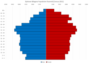 Bjelovar-Bilogora County Population Pyramid Census 2011 ENG