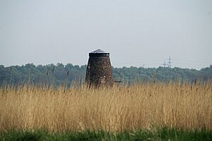 Black Mill, Belton