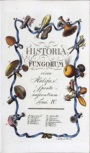 Bolton, James – Historia fungorum, 1795 – BEIC 6847977