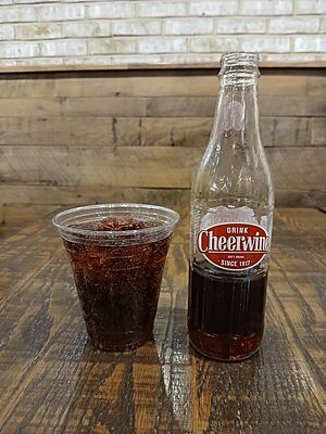 Bottle and plastic cup of Cheerwine at dinner