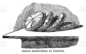 Bread discovered in Pompeii