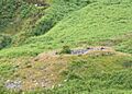 Broch near Ceann Ousdale - geograph.org.uk - 883685
