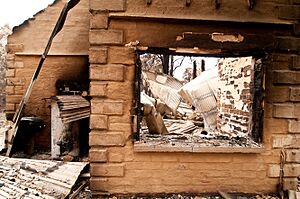 CSIRO ScienceImage 10300 Property destroyed by fire at Kinglake after the Black Saturday bushfires