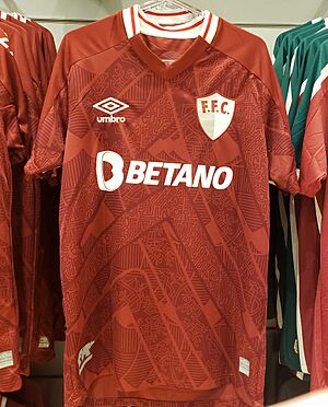 Camisa3ffc2022