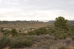 Camp de batalla de Maella