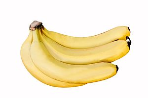 Cavendish Banana DS.jpg