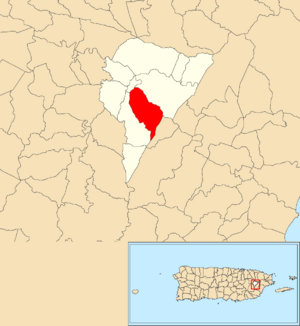 Location of Ceiba Sur within the municipality of Juncos shown in red