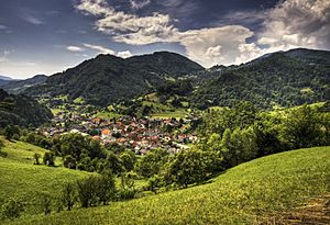 View of the town of Cerkno