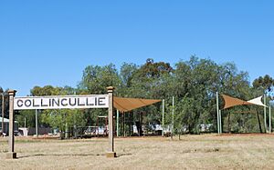 CollingulliePark&Sign
