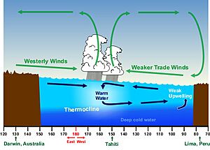 El Niño Conditions