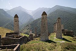 Erzi, Ingushetia, Erzi towers