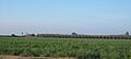 Field turlock CA
