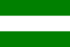 Flag of Caaguazú