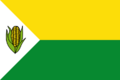 Flag of Pelaya (Cesar)