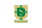 Flag of State of Yucatán