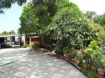 Florida-Fort Lauderdale-Dr. Willard Van Orsdel King House-1950