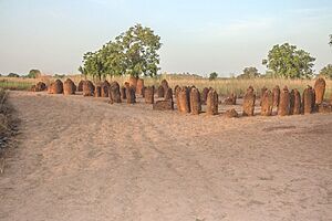 Gambia has also history stone circles Wassu