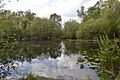 Glemsford Pits 10