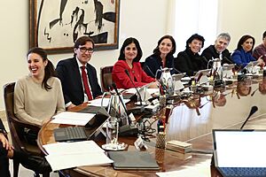 Gobierno de España XIV legislatura 06