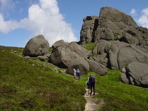 Granite boulders on North Tor - geograph.org.uk - 103314