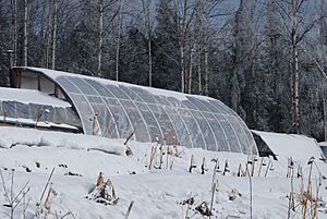 Greenhouse, Calypso Farm