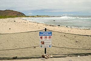 Hawaiian Monk Seal Protection Area - Sign (6225677458)