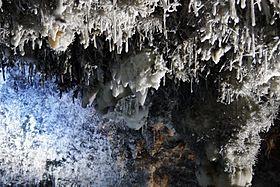 Helictitas de calcita - Cueva de El Soplao
