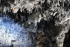 Helictitas de calcita - Cueva de El Soplao