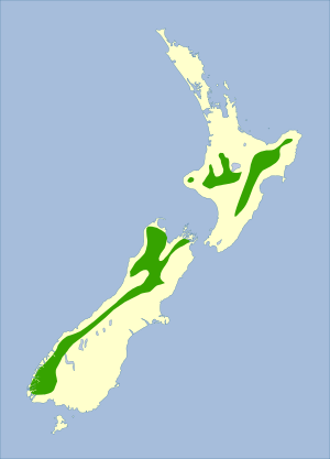 Hymenolaimus malacorhynchos - distribution map.svg