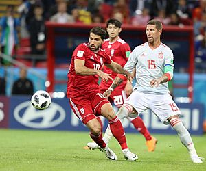 Iran and Spain match at the FIFA World Cup (12)