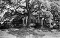 Koontz House in Natchez