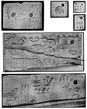 Labels from the tomb of Menes