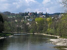 Limmat - Oberengstringen IMG 5868.JPG