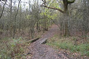 Marston Thrift 7